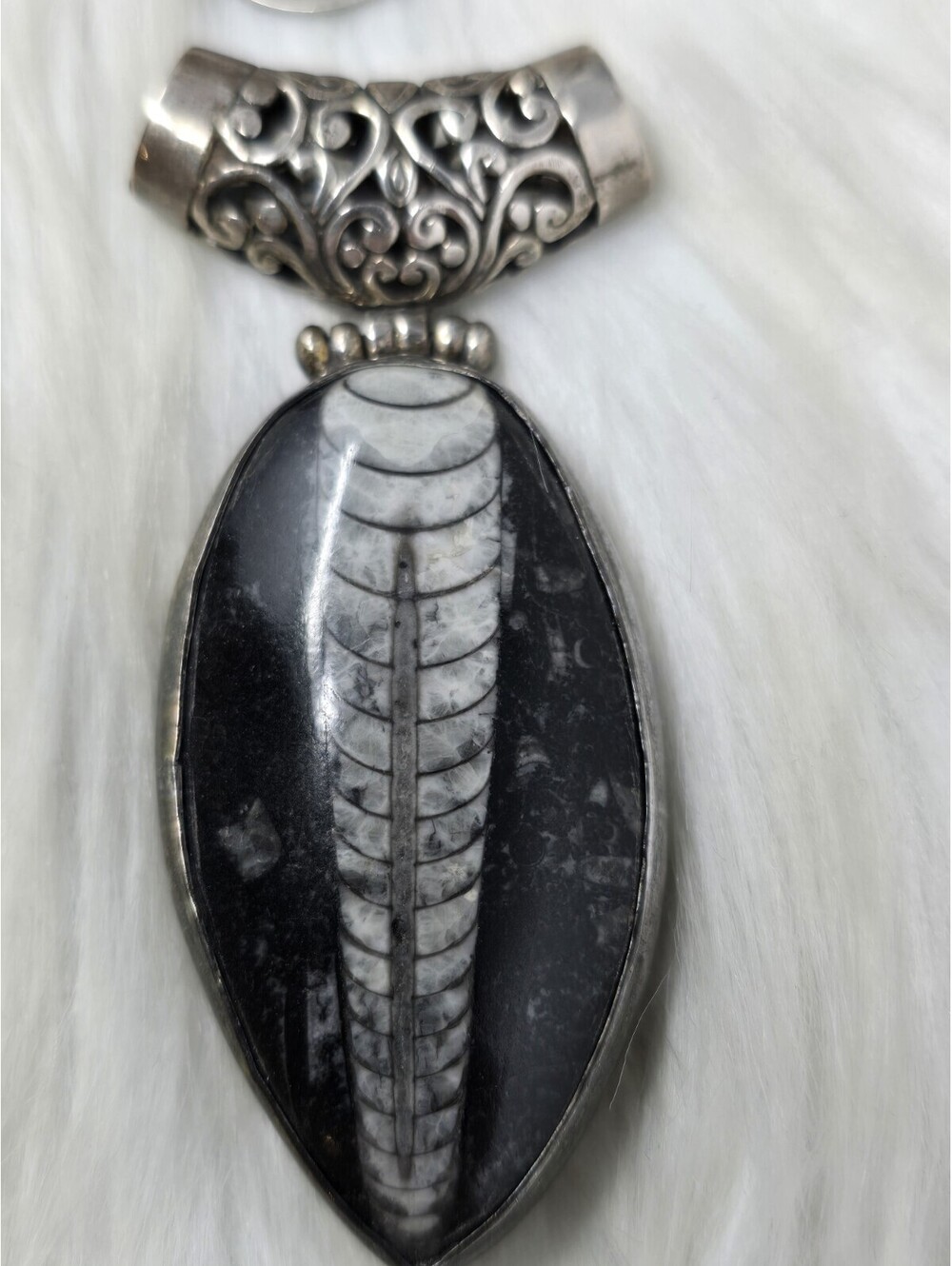Large Orthoceras Fossil Pendant Sterling Silver Filigree